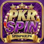 PKRspin game