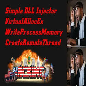 what is simple dll injecter